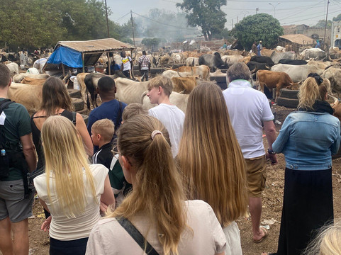 Tour Gambia-Brusubi必去景点