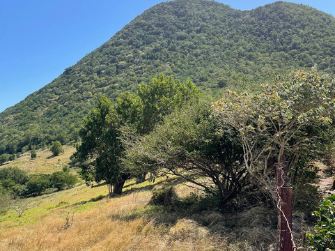 Morne Larcher-Le Diamant必去景点