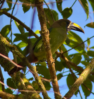 Jason Lara Tours-波魁特必去景点