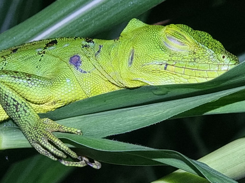 Tarantulas Way-卡维塔必去景点