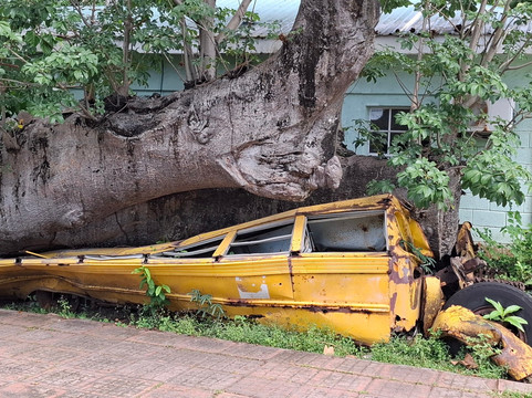 David and Goliath-罗索必去景点