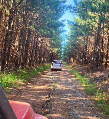 Pé Vermelho Expedições Off Road 4x4-Borrazopolis必去景点