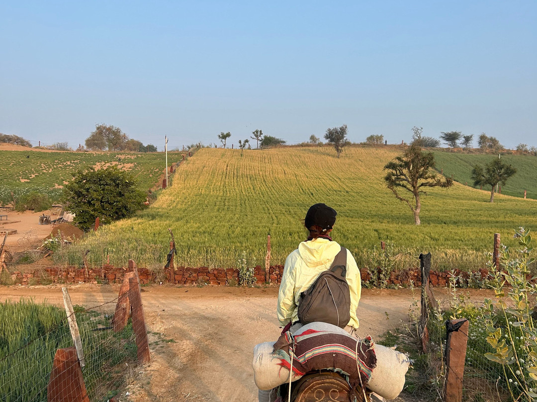 Osian Desert Safari & Overnight Camping-Osian必去景点