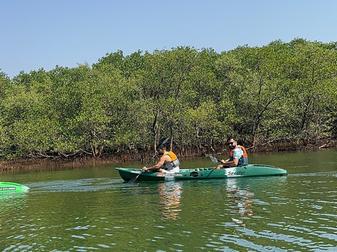 Konkan Explorers-Morjim必去景点