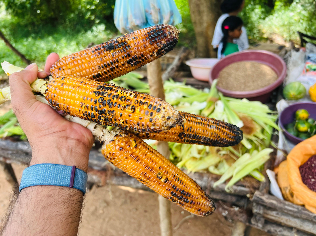 Slim Line Tours-Marawila必去景点