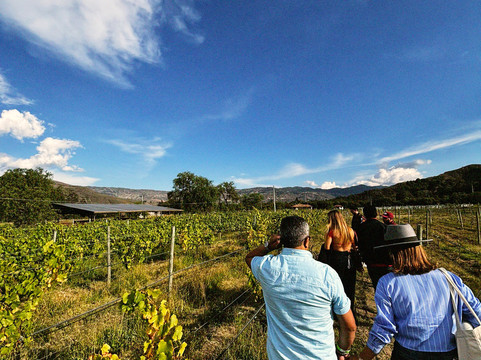 Vinedo Umana Dajud-莱瓦镇必去景点