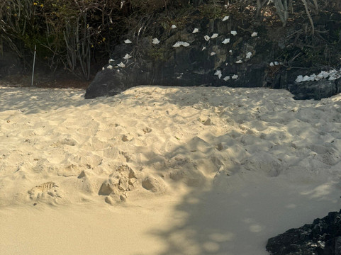 Big Beard's Adventure Tours-Christiansted必去景点