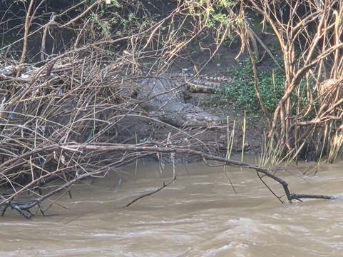 Lilongwe Wildlife Centre-里朗威必去景点