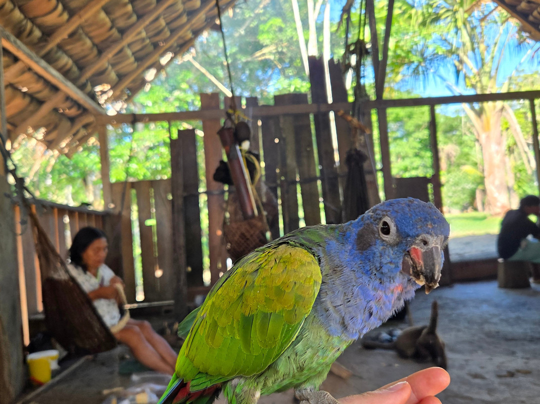 Henry Eco Tours-Coca必去景点