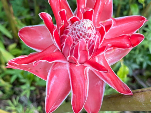 Jardin Botanique de Valombreuse-Petit-Bourg必去景点