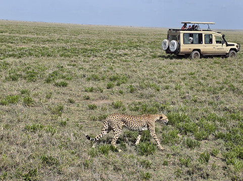 Watatu Travel-阿鲁沙必去景点