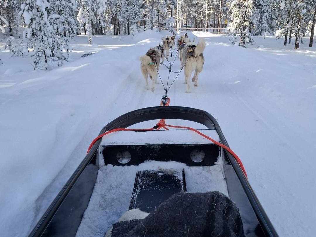 Arctic Circle Husky Park-罗瓦涅米必去景点