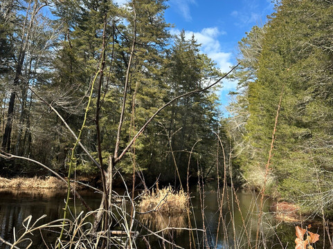 Wharton State Forest-Batsto必去景点