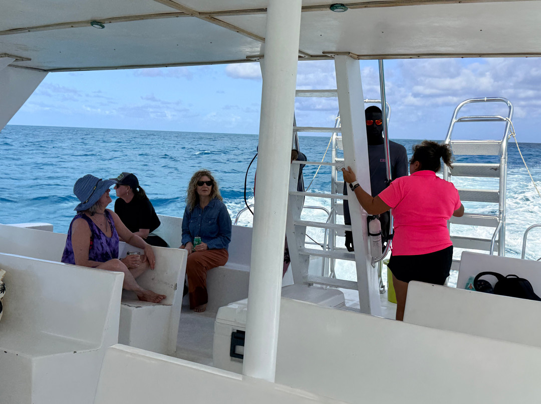 Ocean Vibes Scuba & Watersports-Grand Turk必去景点