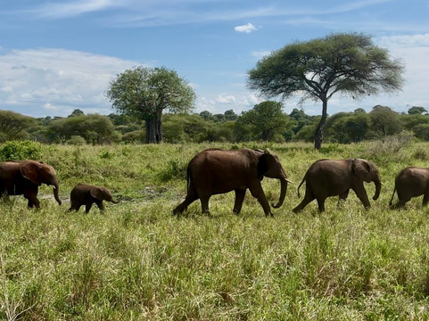 FB Tanzania Expeditions-阿鲁沙必去景点