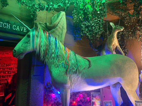 The Museum Of Curiosities-诺丁汉必去景点