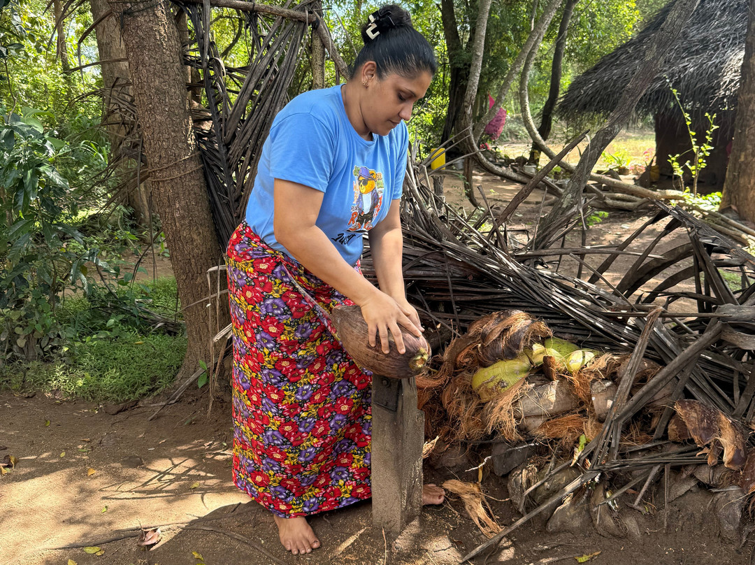 Miles In Paradise-哈巴拉杜瓦必去景点