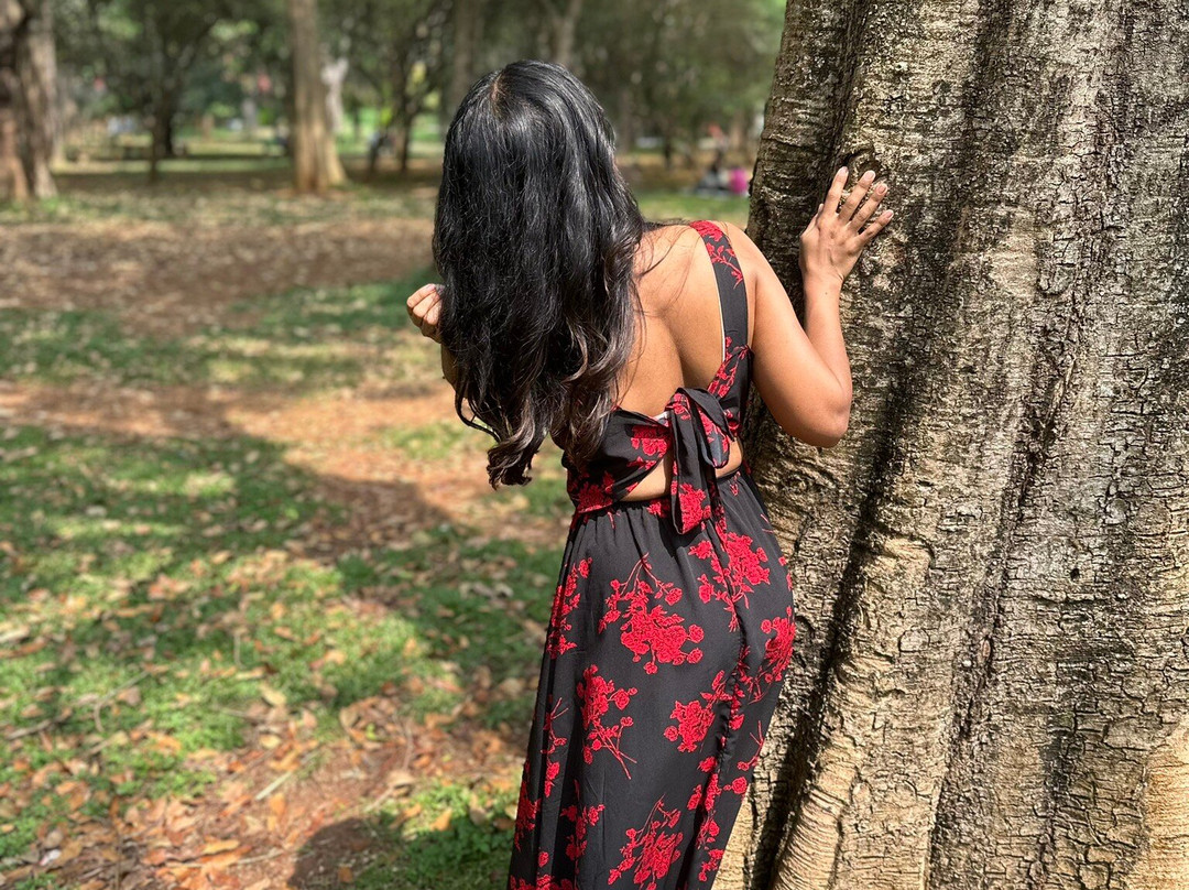 库本公园-班加罗尔必去景点