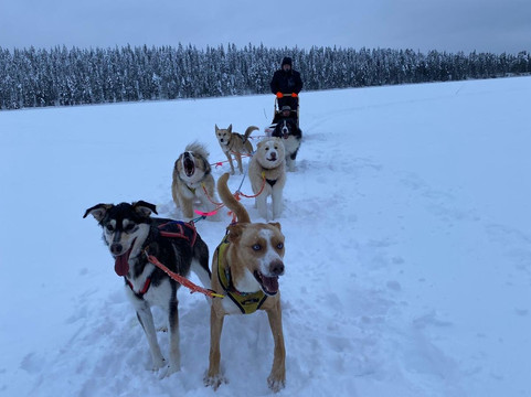 O'Nordic-Posio必去景点