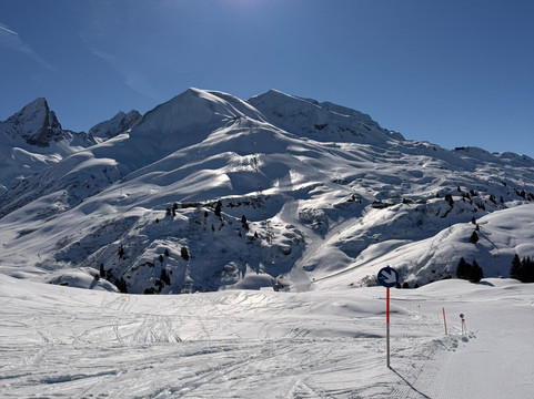 胡伯塔酒店主图