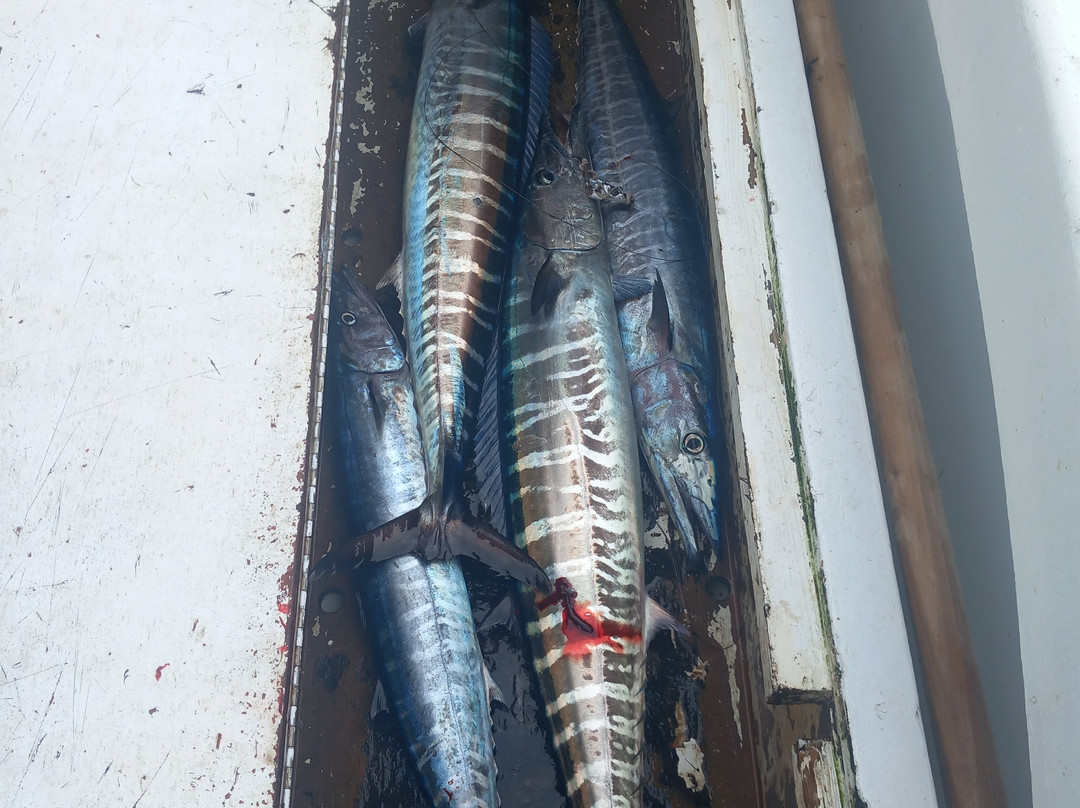 High Seas Barbados-布里奇顿必去景点