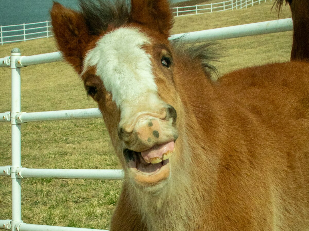 Warm Springs Ranch-Boonville必去景点