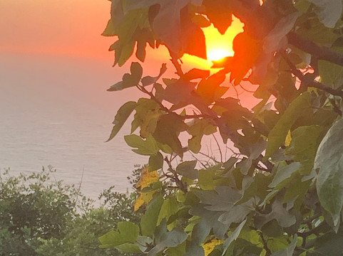 Plage d'Imsouane-Imsouane必去景点