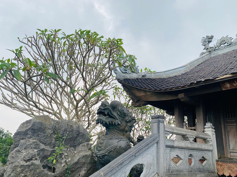 Phố Cổ Hoa Lư-宁平必去景点