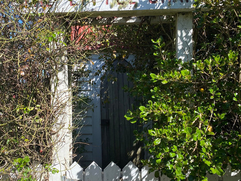 Smallest Chapel In New Zealand-Aratapu必去景点