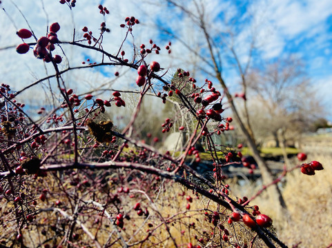 Kuna Greenbelt-Kuna必去景点
