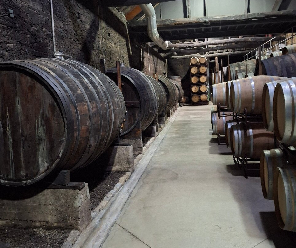 Quinta de la Rosa Winery-Pinhao必去景点