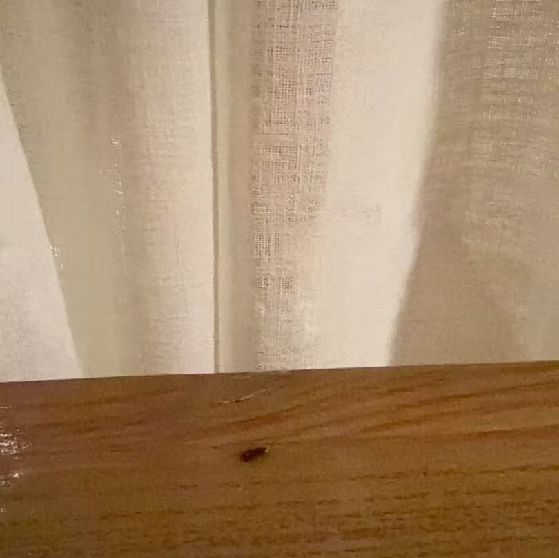 琅勃拉邦安凡尼臻选酒店主图