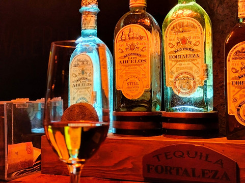 Tequila Fortaleza-特基拉必去景点