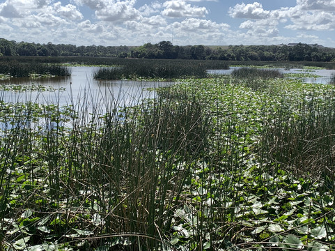 Winding Waters Natural Area-西棕榈滩必去景点