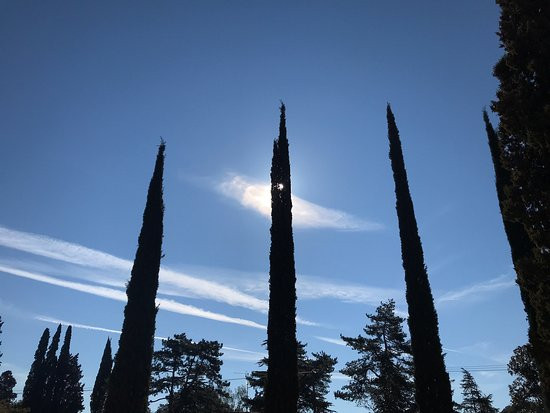 艾盖浦艺术别墅酒店 - 佛罗伦萨主图