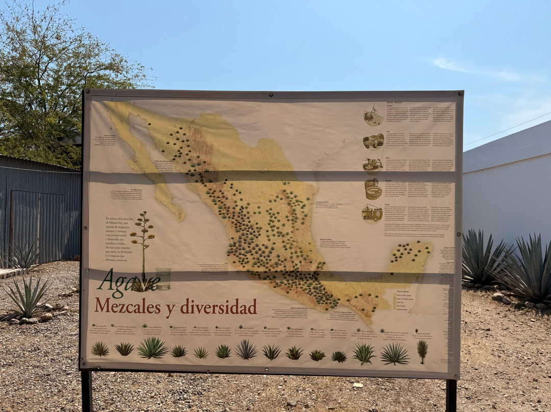 Los 2 Amigos Tequila Museum & Tasting Gallery-La Cruz de Huanacaxtle必去景点