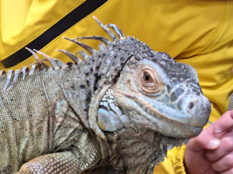 Cockfields Farm Park-Ashton-under-Lyne必去景点