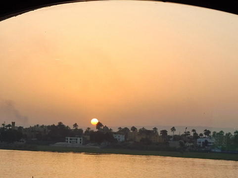 ACE - Animal Care in Egypt-卢克索必去景点