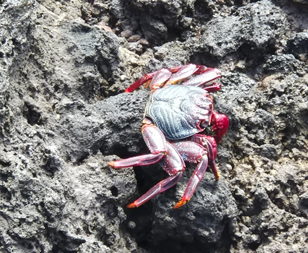 Punta de Teno-特纳里夫必去景点