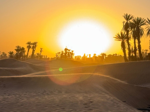 Desert Maroc Tours - Day Tours-扎古拉必去景点