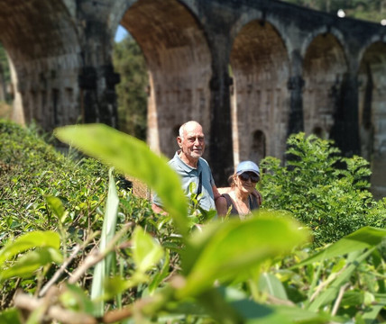 One & Only Travels-Kurunegala必去景点