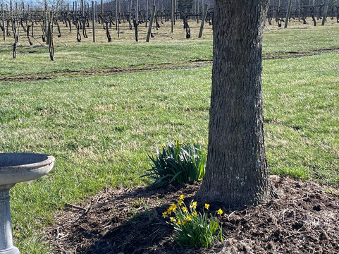 威利塔斯农场旅馆主图