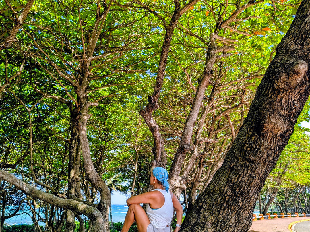 Malecon Puerto Plata-普拉塔港必去景点