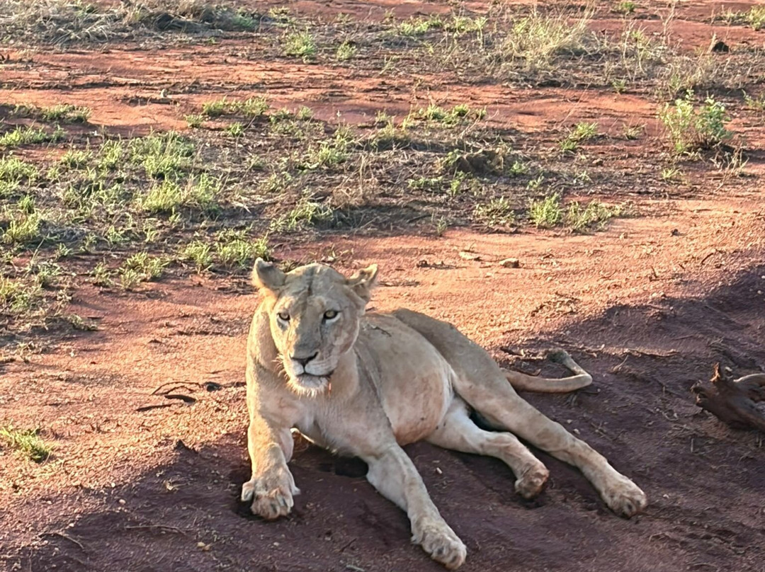 Tsavo East National Park-查佛必去景点