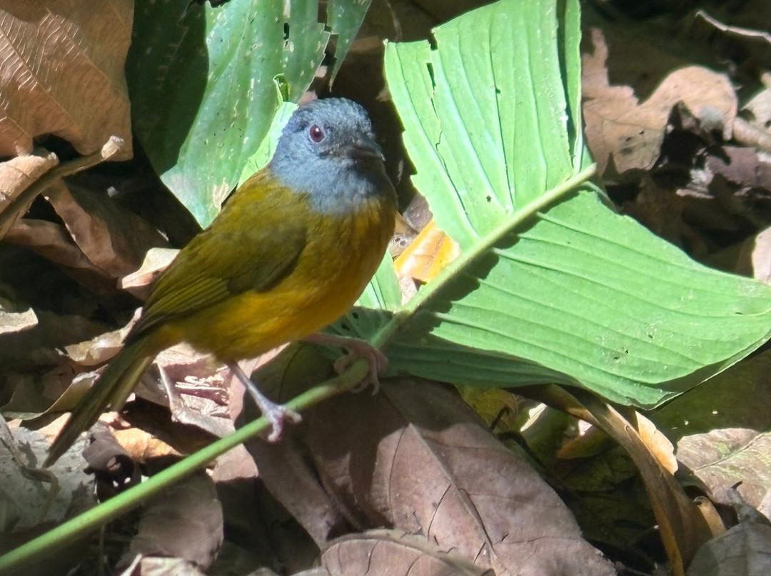 Sukia Travel-德雷克湾必去景点