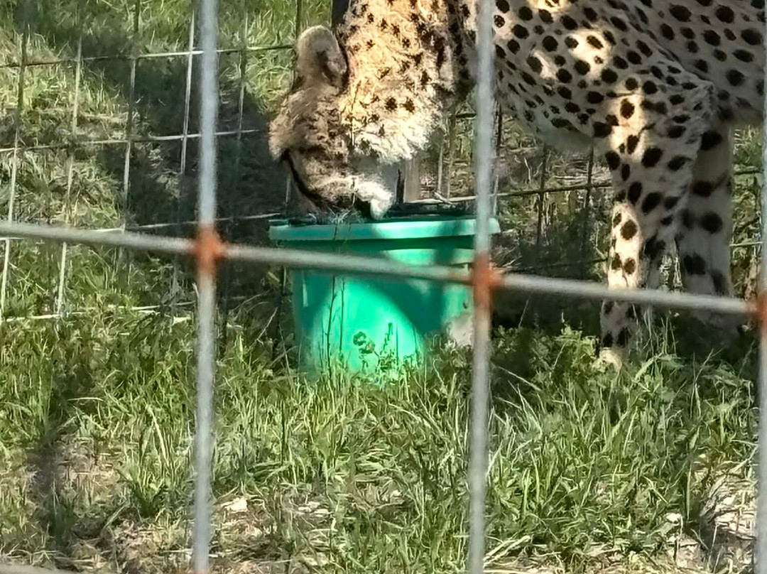 Carson Springs Wildlife Conservation Foundation-盖恩斯维尔必去景点