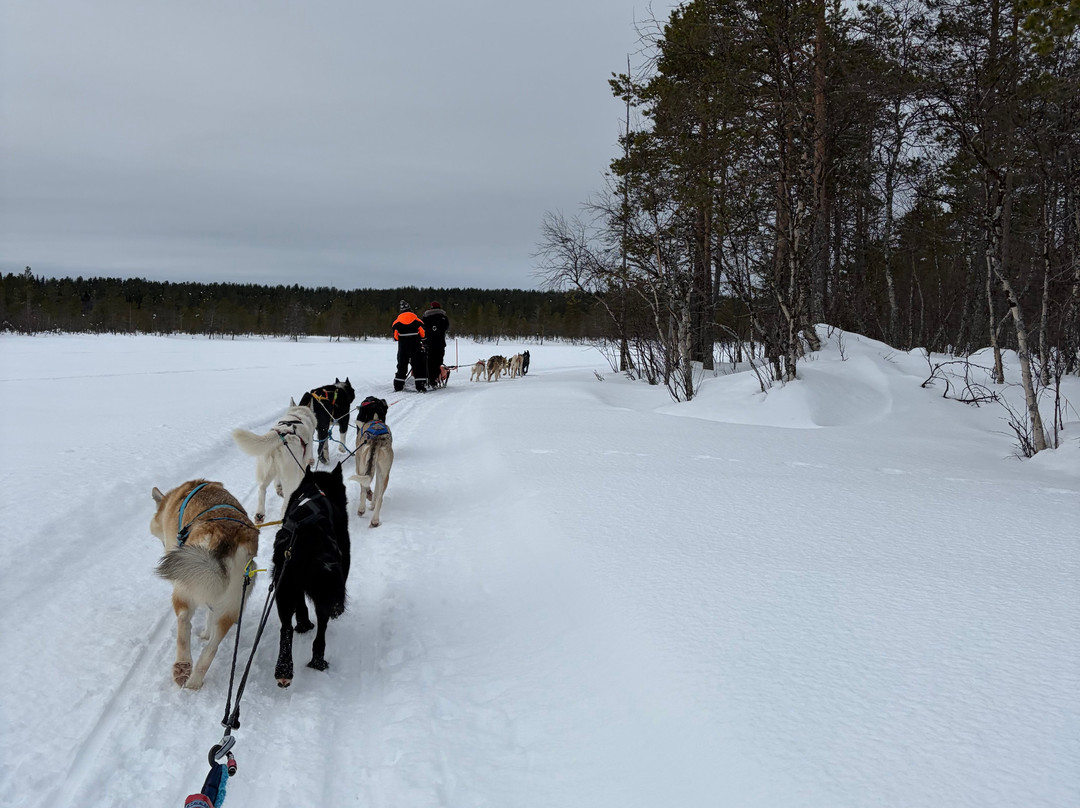 Wildmaker Lapland-Muonio必去景点
