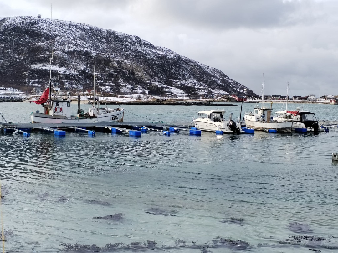 特罗姆瑟峡湾-特罗姆瑟必去景点