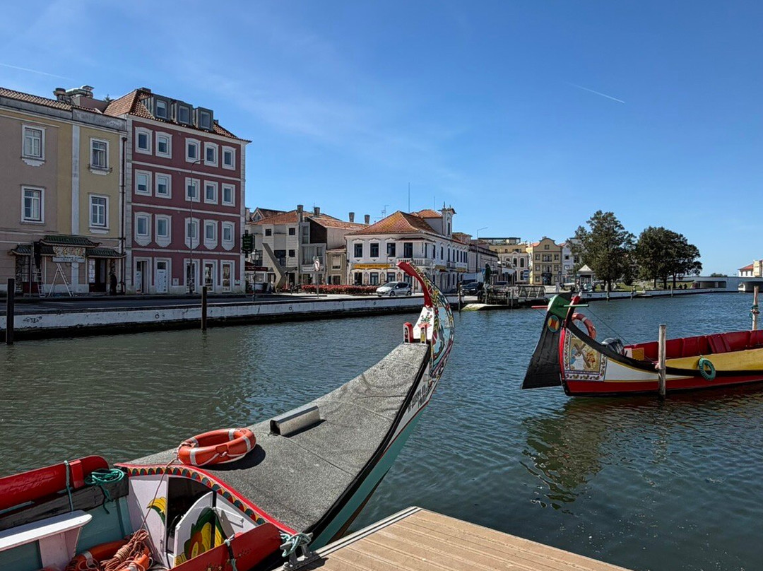 Canal Central de Aveiro-阿威罗必去景点