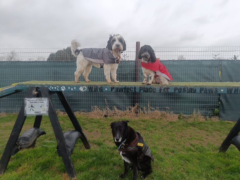 Winterton Hound Ground-Winterton-on-Sea必去景点